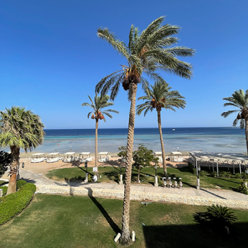 Unsere liebe Carla war Ende August in Hurghada auf Urlaub und hat uns ein tolles Foto vom Strand zukommen lassen! 🤩🌴🌞 Sie hat erholsame Tag im Paradies genossen. Wir bedanken uns für die schönen Urlaubsgrüße! 🥰